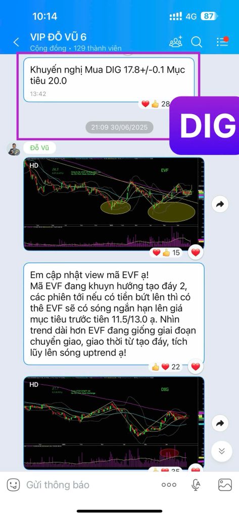 dovustock.vn